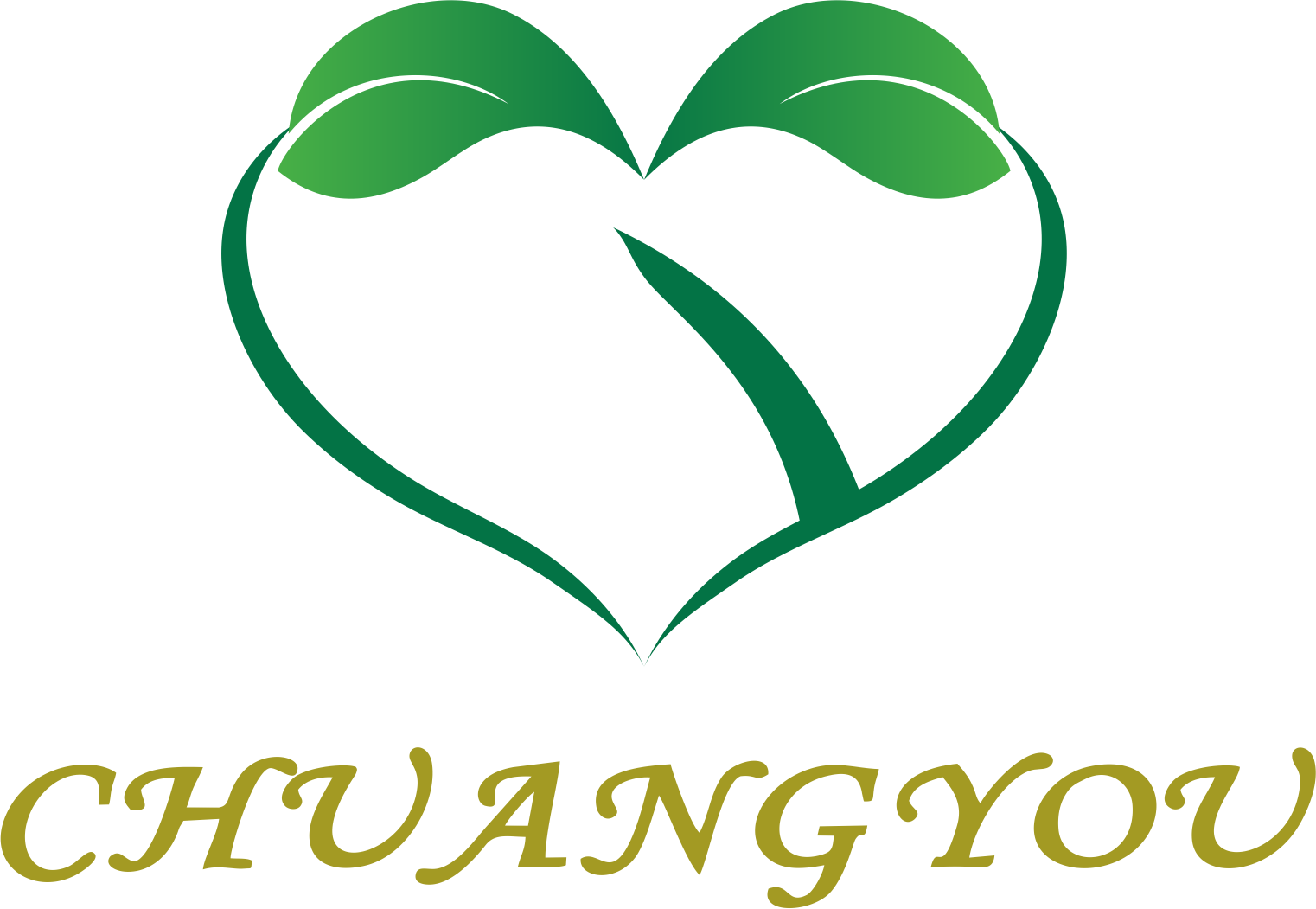 中山市创优科技研发有限公司